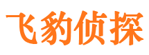 带岭市私人调查